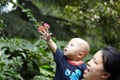 Baby touching flowers